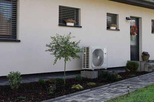 A small tree in front of a building with an air conditioner.