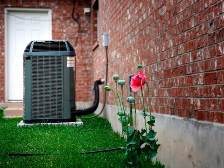 A red flower is growing in front of an air conditioner.